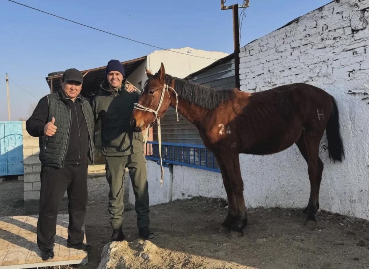 Мұхамеджан Сейсен кезекті көкпар ойынынан кейін олжалы оралды