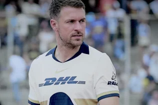 “Арсеналдың” экс-ойыншысы итін жоғалтты