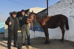 Мұхамеджан Сейсен кезекті көкпар ойынынан кейін олжалы оралды