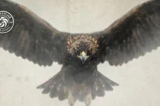 5,5 миллиард теңге және жаңа қожайын – “Қызылжарды” не күтіп тұр?